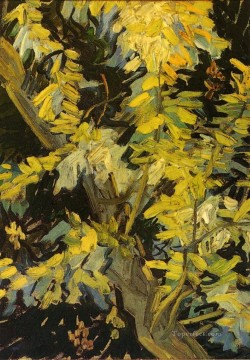 ヴィンセント・ヴァン・ゴッホ Painting - 開花したアカシアの枝 フィンセント・ファン・ゴッホ